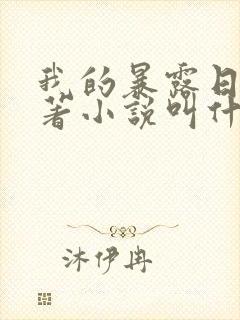 我的暴露日记原著小说叫什么