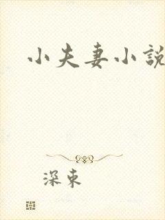 小夫妻小说