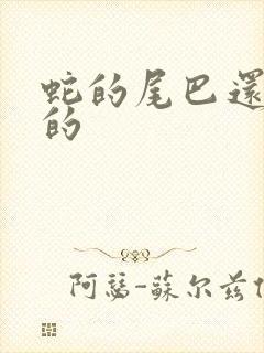 蛇的尾巴还在我的封面