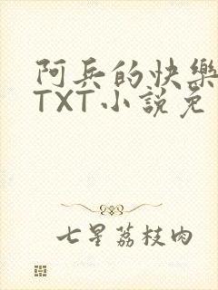 阿兵的快乐生活TXT小说免费阅读全章封面