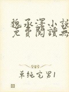 魏承泽小说全文免费阅读无弹窗笔趣