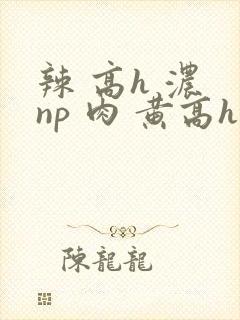 辣 高h 浓 np 肉 黄高h
