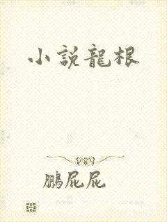 小说龙根
