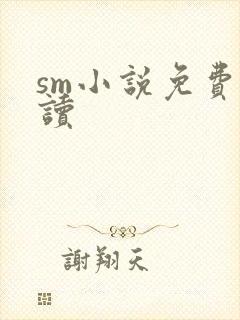 sm小说免费阅读