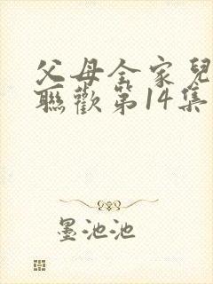 父母全家儿女大联欢第14集封面