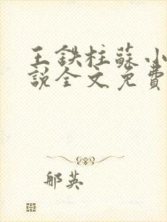 王铁柱苏小汐小说全文免费阅读最新章节封面