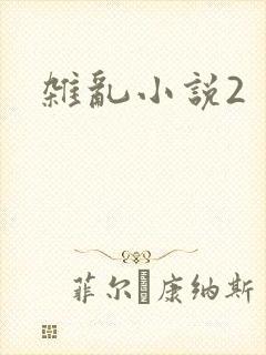 杂乱小说2