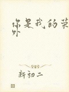 你是我的荣耀番外