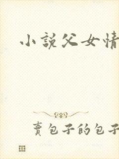 小说父女情深封面