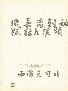 机长脔到她哭h粗话h视频