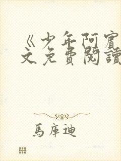 《少年阿宾》全文免费阅读封面