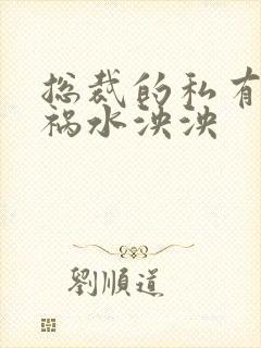 总裁的私有宝贝祸水泱泱封面