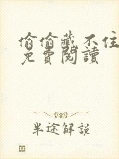 偷偷藏不住小说免费阅读