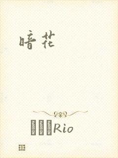 暗花封面