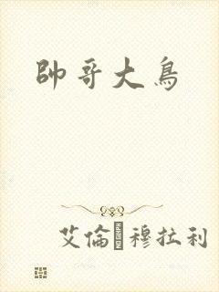 帅哥大鸟