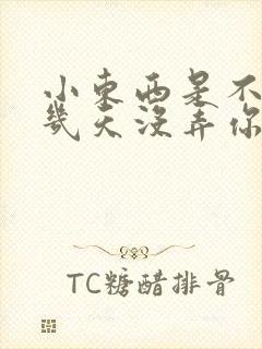 小东西是不是好几天没弄你了作文