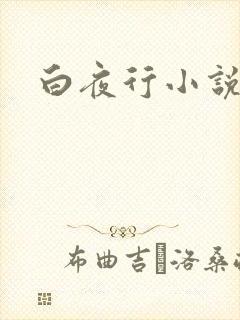 白夜行小说下载封面