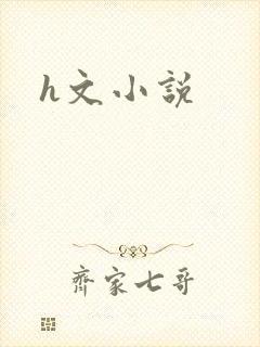 h文小说