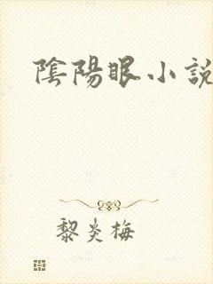 阴阳眼小说封面