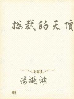 总裁的天价宠妻