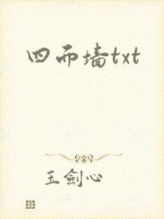 四面墙txt