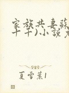 家族共妻苏苏(十千)小说免费封面