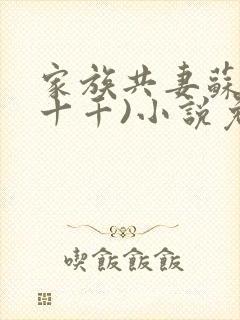 家族共妻苏苏(十千)小说免费