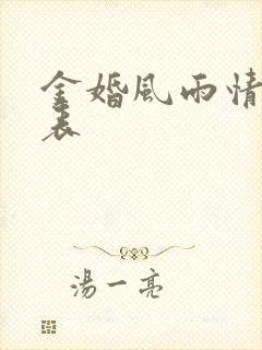 金婚风雨情演员表封面