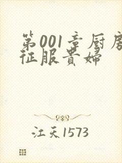 第001章厨房征服贵妇