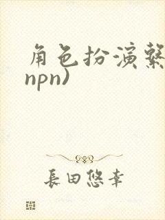 角色扮演系统(npn)