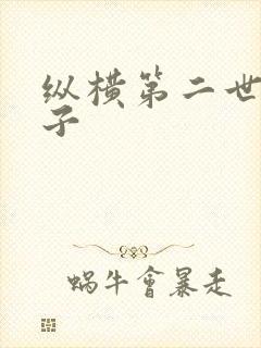 纵横第二世界宽子