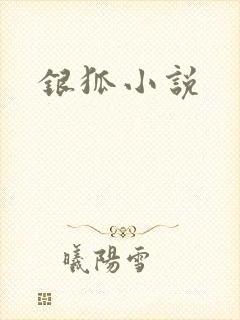 银狐小说