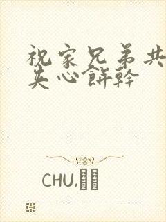 祝家兄弟共享后夹心饼干