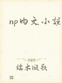 np肉文小说