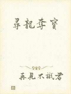 寻龙夺宝