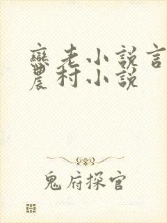 恋老小说言情网农村小说