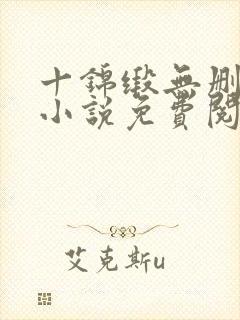 十锦缎无删原著小说免费阅读