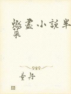 燃尽小说半截白菜