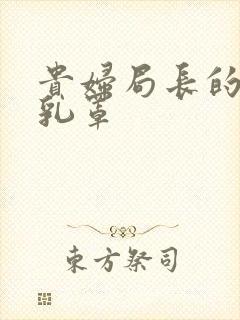 贵妇局长的蕾丝乳罩