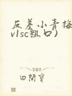 反差小青梅(1v1sc粗口)