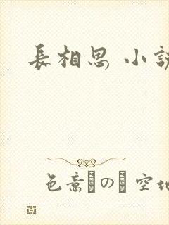 长相思 小说封面