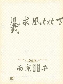 凤求凰txt下载