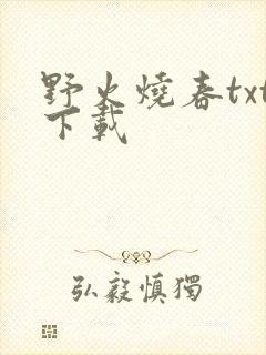 野火烧春txt下载