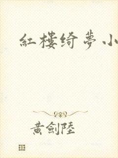 红楼绮梦小说封面