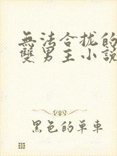 无法合拢的总裁双男主小说