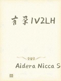 有孕1V2LH