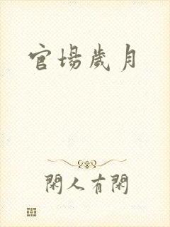 官场岁月