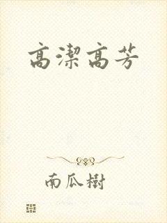 高洁高芳封面
