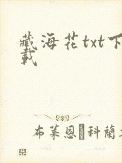 藏海花txt下载封面
