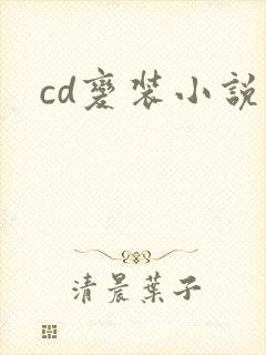 cd变装小说封面